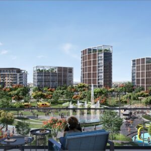 CP - ERIN PHASE HEADER – 3